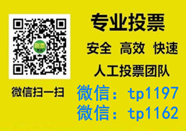 吕梁市微信手动投票费多少钱让我告诉你微信投了多少